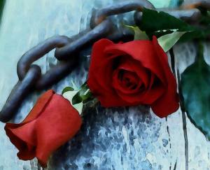 Rosas y cadenas