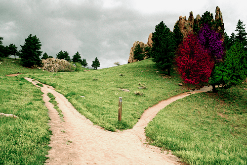 El sendero ancho y el angosto