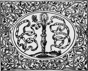 La mariposa y la luz