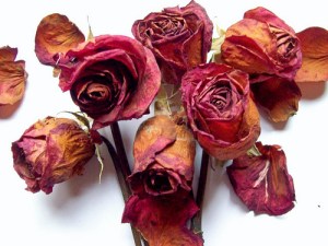Flores marchitas
