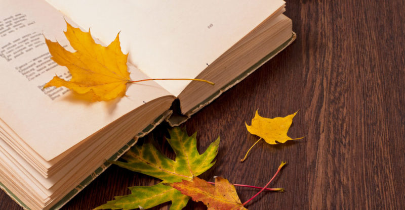 Libro de poesía y unas hojas