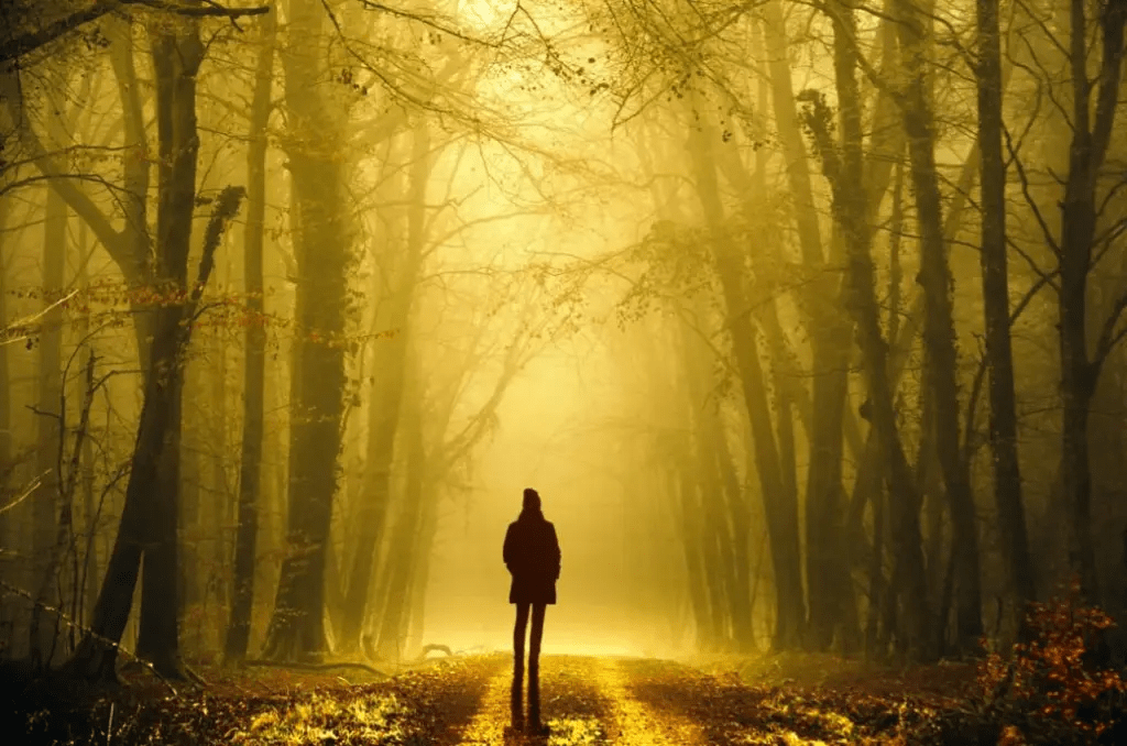 Hombre caminando / Homo viator